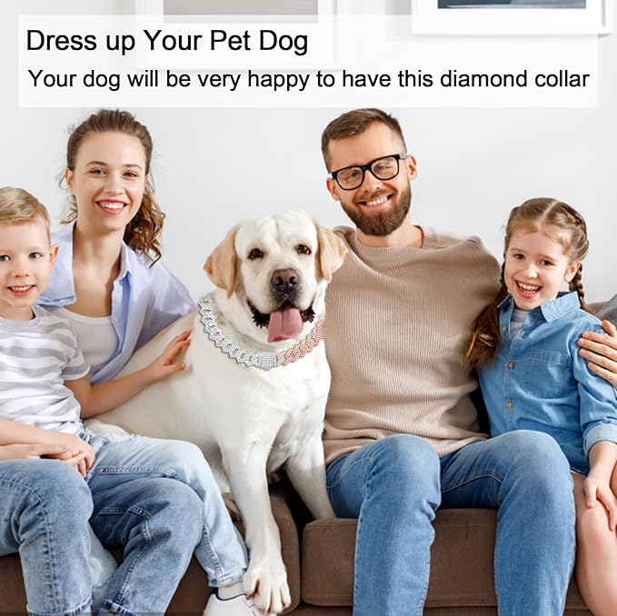 Metal Diamond Dog Chain Dog Training Chain with Secure Buckle Pet Collars for Large Medium Dogs