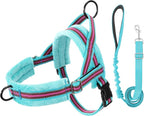 Lukovee No Pull Dog Harness and Leash Set, Soft Padded Small Dog Harness, Neck & Chest Adjustable Reflective Vest Puppy Harness with 4ft Lightweight Anti-Twist Dog Leash for Small Dogs (XXS, 01-LBL)