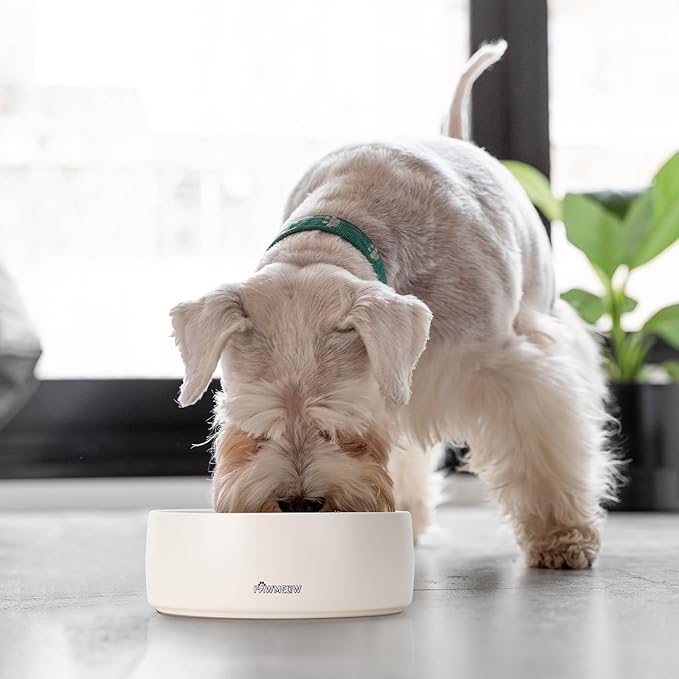 Ceramic Dog Bowl - 5.5-Inch Small & Medium Dog Feeder, Spill Resistant, Heavy Duty Modern Pet Bowl (16 oz) Beige