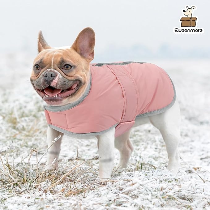 Queenmore Dog Winter Coat, Fleece Puffer Dog Down Vest, Cold Weather Pet Jacket for Dogs, Waterproof Reflective Reversible Dog Sweater Clothes for Small, Medium and Large Dogs (Light Pink, S)