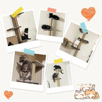 PAWSCRAT Wall-Mounted Cat Tree, 5 Tier Floor to Ceiling Cats Tower, 80 Inch Wall-Mounted Cat Scratching Post, Space Saving Cat Furniture and Easliy Climb for All Cats, Darkgery