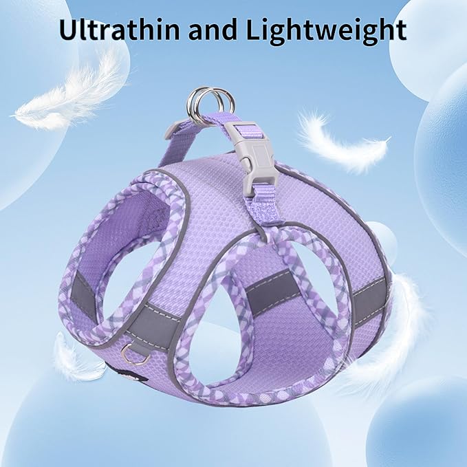 AIITLE XXS Dog Harness & Leash Set - Breathable Reflective No-Choke Small Dog Harness for Teacup Puppies, Indoor/Outdoor Use - Boston Terrier, Maltese, Chihuahua (Purple, XXS)