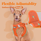 rabbitgoo Small Dog Harness, Step-in Soft Mesh Puppy Vest with Safety Buckle, Breathable Reflective Pet Harness for Large Dogs, Orange XXL