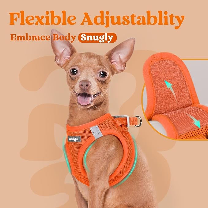rabbitgoo Small Dog Harness, Step-in Soft Mesh Puppy Vest with Safety Buckle, Breathable Reflective Pet Harness for Small Sized Dogs, Orange XS