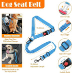 No Pull Dog Harness, Collar & Leash Set | Includes Dog Seat Belt, Collapsible Bowls & Poop Bag Dispenser. Ideal for Training, Walking, Hiking. Fits Small to Large Dogs(Blue-XL)