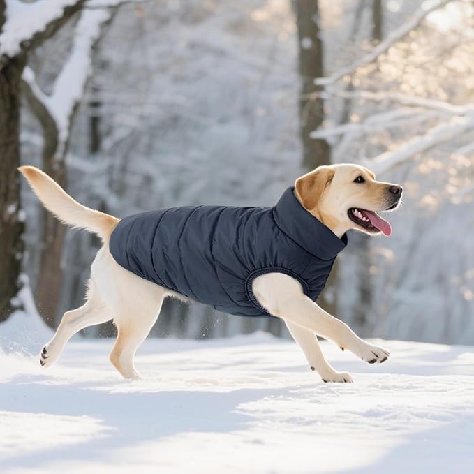 ASENKU Dog Winter Coat - Waterproof Windproof Dog Jacket, Warm Snowproof Doggie Puffer Vest for Cold Weather, Lightweight Snow Coats for Small Medium Large Dogs (S, Blue)