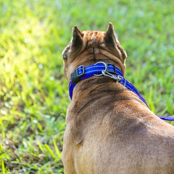 EXCELLENT ELITE SPANKER Reflective Dog Collar Classic Soft Padded Breathable Nylon Adjustable Pet Collar with Quick Release Buckle for Boy Girl Male Female Small Medium Large Dogs Training(Blue-M)