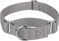 Country Brook Petz - Martingale Dog Collar - Heavy-Duty Training Collar with No Buckle - Service Dog Collar for All Pups - 10+ Cool Colors (Silver, 3/4 Inch, Small)