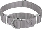 Country Brook Petz - Martingale Dog Collar - Heavy-Duty Training Collar with No Buckle - Service Dog Collar for All Pups - 10+ Cool Colors (Silver, 3/8 Inch, 2XS)