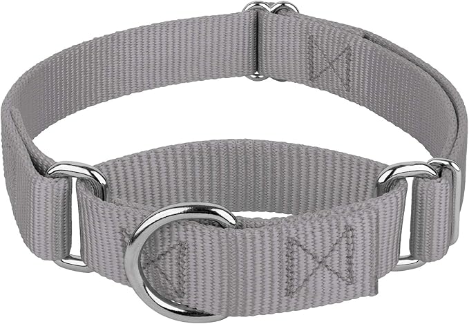 Country Brook Petz - Martingale Dog Collar - Heavy-Duty Training Collar with No Buckle - Service Dog Collar for All Pups - 10+ Cool Colors (Silver, 5/8 Inch, Extra Small)