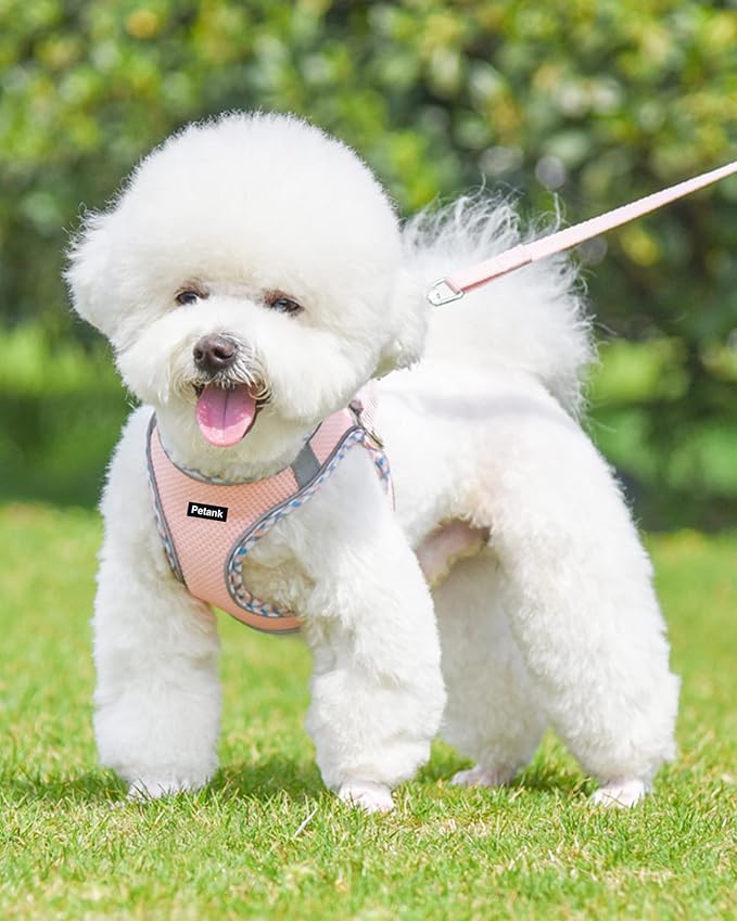 Petank Dog Harness for Small Medium Dogs No Pull, Puppy Harness and Leash Set, Step in Dog Harness for Walking, Running, Training, Small Dog Vest (Pink, S)