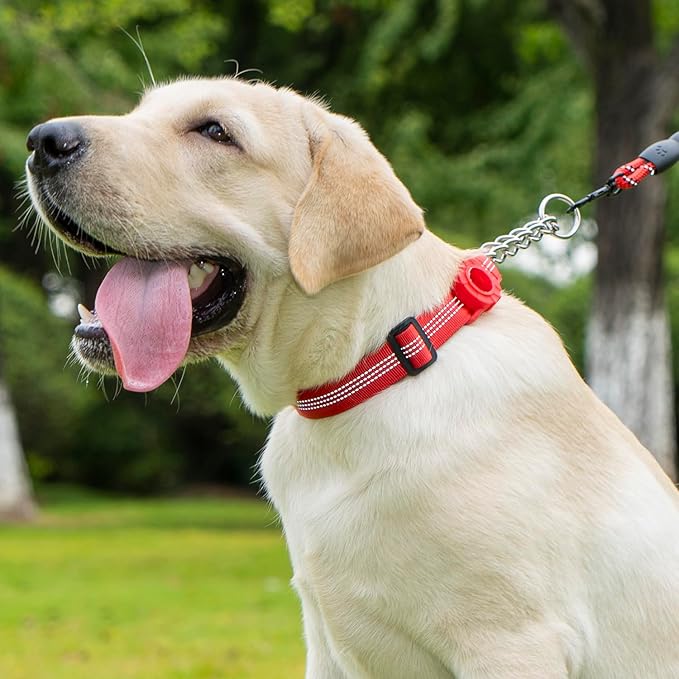 Cymiler Martingale Dog Collar with AirTag Holder, Reflective Nylon Training Collar, Stainless Steel Chain, Heavy Duty Buckle, Limited Slip Collars for Small Medium Large Dogs (Red, Medium)