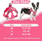 PUPTECK No Pull Dog Harness Small Sized Dog, Adjustable Reflective Escape Proof Easy Control, Comfortable Soft Padded Step in Pet Vest Harness, Fuschia, M