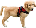 No Pull Reflective Adjustable Dog Harness With Handle- Comfortable Soft All Weather Mesh, Easy On Puppy Harness For Small Medium and Large Dogs (Red) Medium