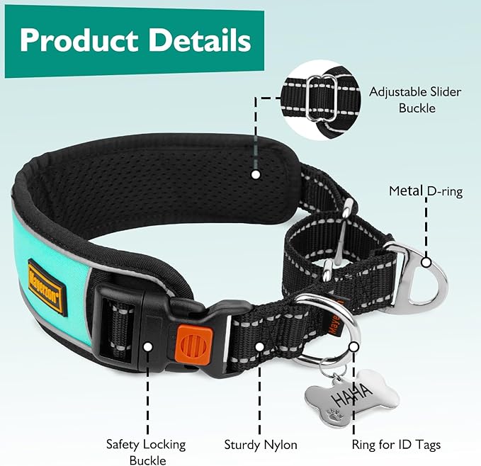 Mayerzon 2 Inch Wide Martingale Collar for Large Dogs, Patented No Pull Walking Training Dog Collar for Pitbull German Shepherd, with Buckle, Reflective Stitching, Neoprene Layer, Adjustable(Teal, M)