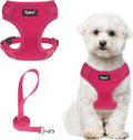 PUPTECK Small Dog Harness and Leash Set, No Pull Adjustable Puppy Cat Harness, Reflective Soft Mesh Pet Vest Small Sized, Fuchsia, M