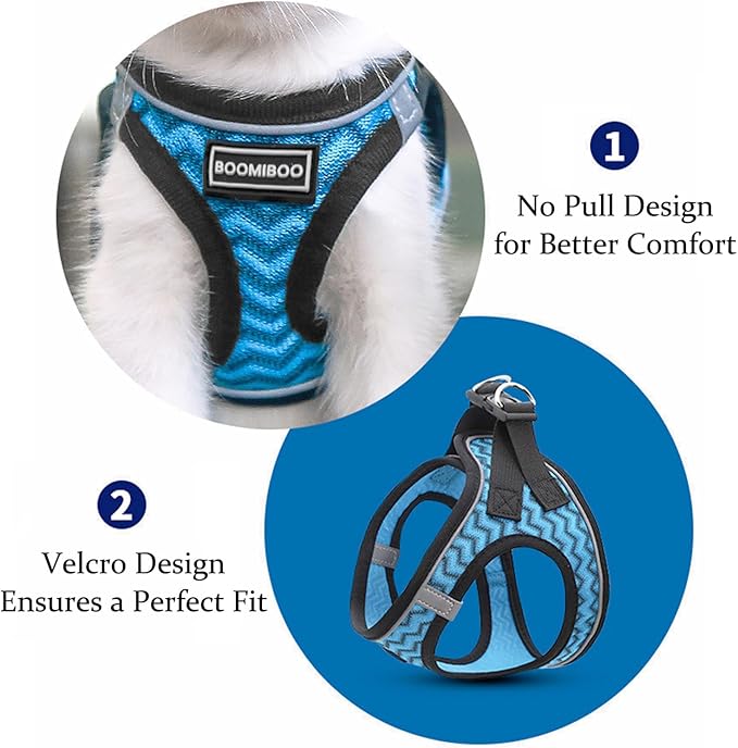 Dog Harness with Leash Set, No Pull Adjustable Reflective Step-in Puppy Pet Vest Harnesses for Small Medium Large Dogs and Cats,Blue Stripe XL