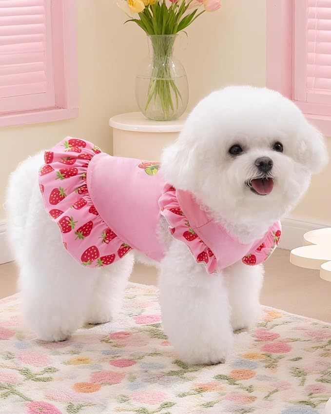 XPUDAC 4 Pack Dog Dresses Cute Printed Puppy Clothes for Small Dogs Girl Chihuahua Doggie Outfits Tank Top Vest Dresses Cat Apparel, XX-Small(Chest-11)