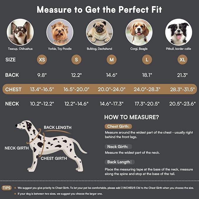 Queenmore Dog Winter Coat Warm Puffer Jacket Waterproof Plush Lining Thermal Cold Weather Vest for Small Medium Large Dogs, Windproof Easy On Pet Jacket Blue XS