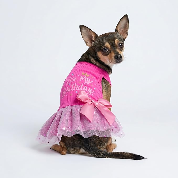Fitwarm It's My Birthday Dog Dress - Pink Bowknot Dog Clothes for Small Female Puppy, XXS