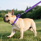 Martingale Collar for Dogs with Quick Release Buckle, Reflective Soft Padded & Escape Proof, Adjustable Nylon Dog Collars for Training & Daily Walking (Purple,S)