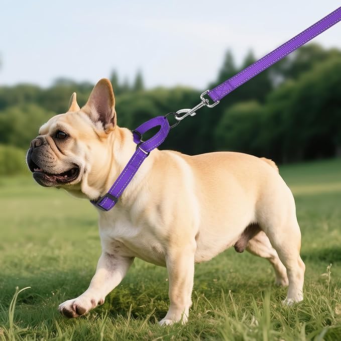 Martingale Collar for Dogs with Quick Release Buckle, Reflective Soft Padded & Escape Proof, Adjustable Nylon Dog Collars for Training & Daily Walking (Purple,S)