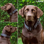Tuff Pupper Tactical Dog Collar with Handle | Heavy Duty Adjustable Dog Collar | Military Nylon Collar for Large Dogs | Quick-Release Buckle | Soft Padded Comfort | Training Control (Black, Large)