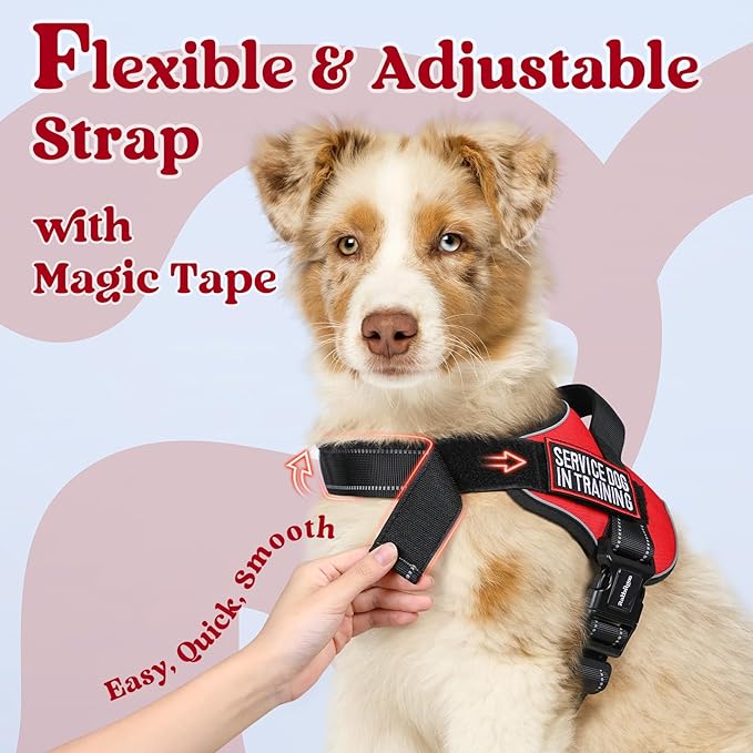 rabbitgoo Dog Harness Small Sized, No Pull No Choke Pet Vest, Easy Wearing with One Buckle, Reflective, Adjustable Pet Harness with Molle for Walking, Training, Red, S
