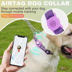 Cymiler Martingale Dog Collar with AirTag Holder, Reflective Nylon Training Collar, Stainless Steel Chain, Heavy Duty Buckle, Limited Slip Collars for Small Medium Large Dogs (Purple, Medium)