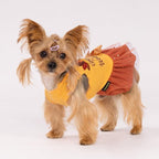 Fitwarm Gobble 'til You Wobble Dog Dress, Funny Thanksgiving Outfit for Small Dogs Girl, Festive Pet Clothes, Yellow, Orange, XS