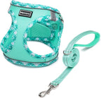 Mercano Soft Mesh Dog Harness and Leash Set, No-Chock Step-in Reflective Breathable Lightweight Easy Walk Vest Harnesses with Safety Buckle for Small Dogs, Cats (Light Green, M)