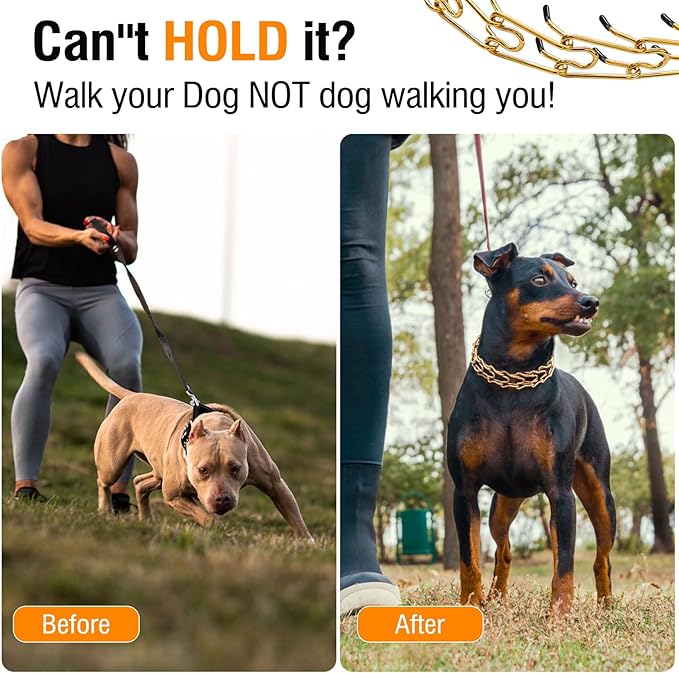 Stainless Steel Dog Pinch Collar - Gold Prong Martingale Collar, Adjustable Size for Medium & Large Dogs (XL, Gold)