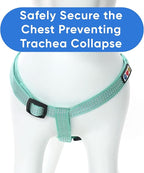 Pawtitas Reflective Step-in Dog Harness – Adjustable No-Pull Vest for Puppies to Seniors, Safe & Comfortable, L Teal