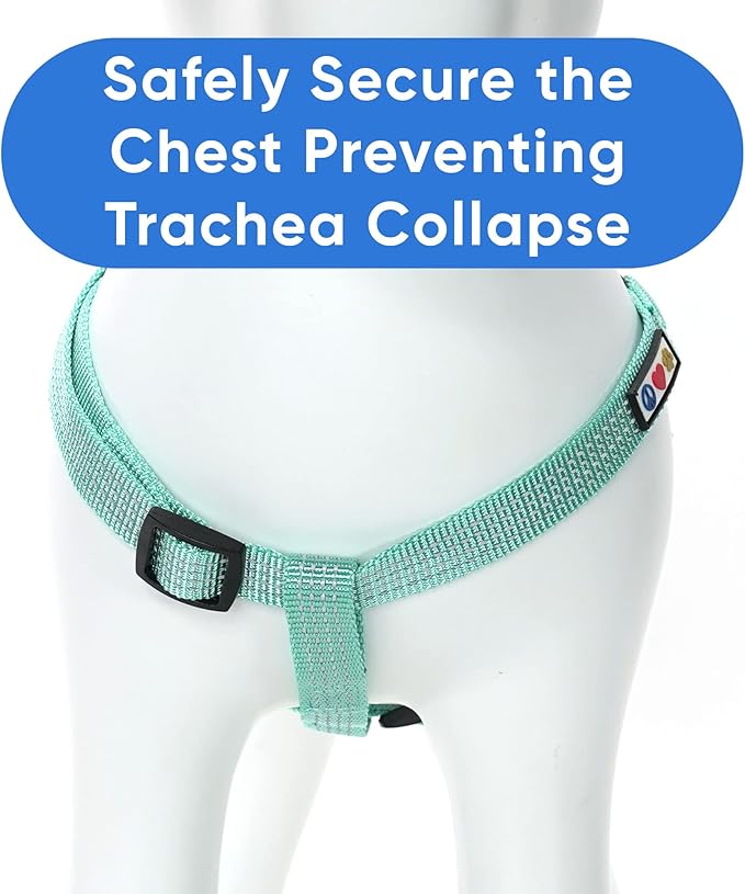 Pawtitas Reflective Step-in Dog Harness – Adjustable No-Pull Vest for Puppies to Seniors, Safe & Comfortable, XS Teal