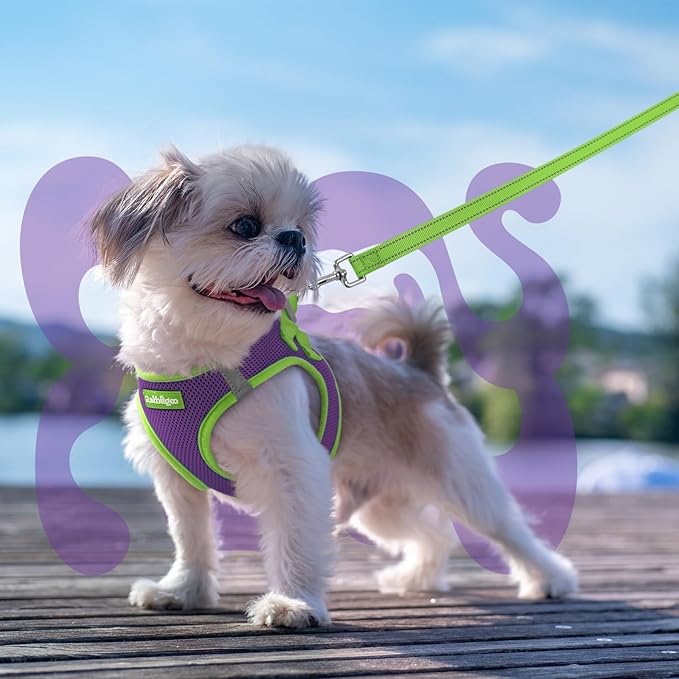 rabbitgoo Dog Harness Small Sized and Leash Set, Step-in Breathable Pet Harness, Soft Walking Reflective Puppy Vest for Small Dogs, Purple & Green, XS