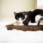 Cat Scratcher by Americat – Made in USA Cardboard Scratching Pad & Lounger – X Large, 2-Sided, Heavy, No-Shedding, Long-Lasting (Cat)