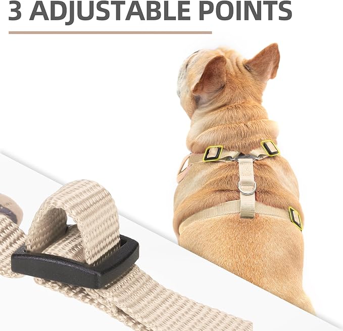 PUPTECK Small Dog Harness and Leash Set, No Pull Adjustable Puppy Cat Harness, Reflective Soft Mesh Pet Vest Small Sized, Beige, M