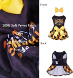 CuteBone Happy Thanksgiving Day Dog Fall Dress Costume Velvet for Small Dogs Girl Puppy Dresses Yellow Plaid Dog Clothes CVA03XXS-D