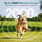 Ultra-Small Dog Shock Collar, Ultra-Thin & Light Dog Training Collar with Remote for Small Dogs 5-15lbs & Medium Large Dogs, 2000ft Range, Waterproof, Rechargeable,Cyan