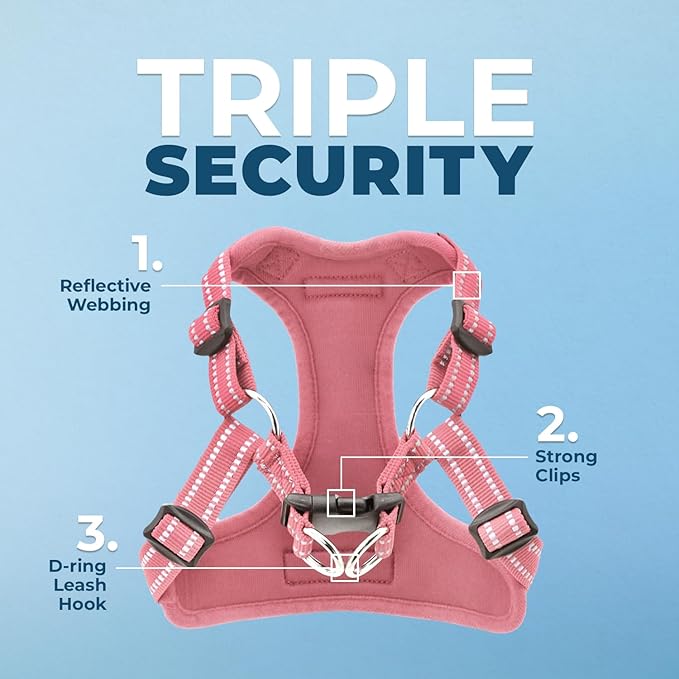 Best Pet Supplies Voyager Adjustable Step-in Flex Breathable Mesh Dog Harness for Small Medium Large Dogs (Pink), L