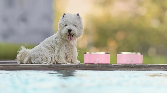 Alpine Set of 2 Stainless Steel Dog Bowls, Non Slip, Metal Pet Bowl for Food and Water, Double Walled Insulated, Rustproof, Dishwasher Safe- 32 Ounces- Pink (AB)
