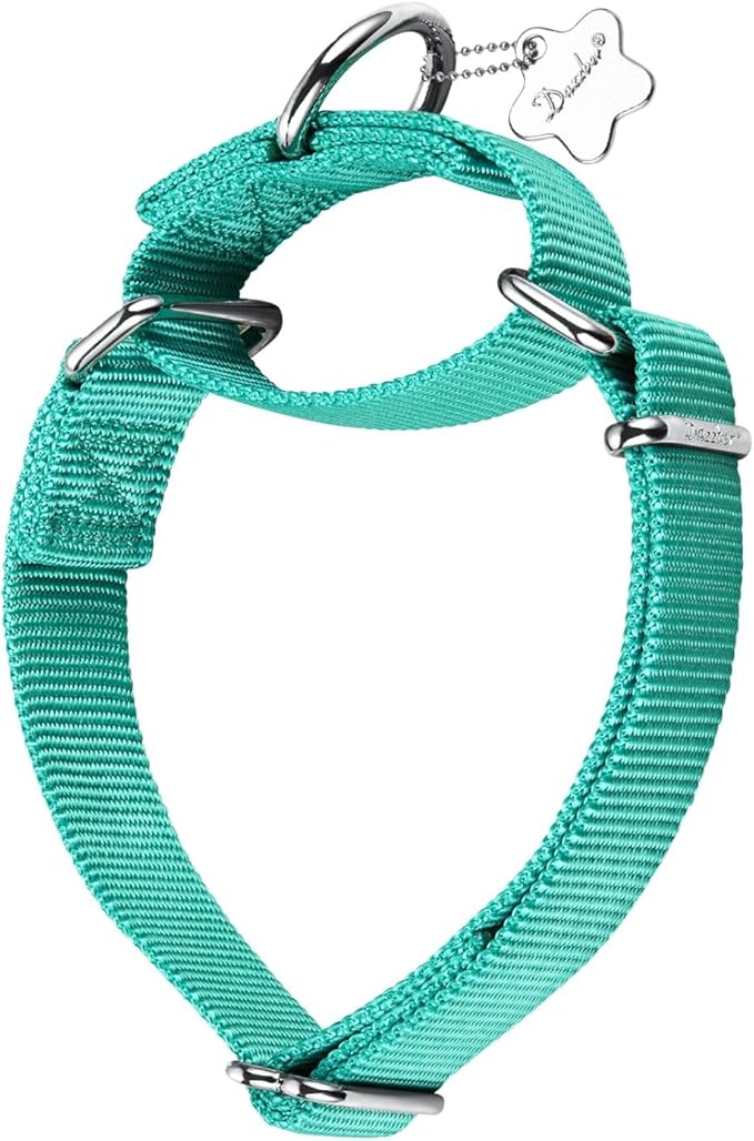 Martingale Dog Collar, No-Buckle Escape-Proof Design, Heavy-Duty Nylon and Welded D-Ring, Adjustable Training Collar for Medium Large Dogs (Tiffany Blue, L)