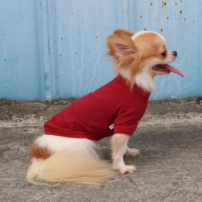 LOPHIPETS 100% Cotton Dog Tee Shirt Vest for Small Dogs Chihuahua Puppy Clothes-Red/M