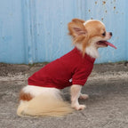 LOPHIPETS 100% Cotton Dog Tee Shirt Vest for Small Dogs Chihuahua Puppy Clothes-Red/M