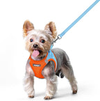 rabbitgoo Dog Harness Small Sized and Leash Set, Step in Soft Light Puppy Vest, Breathable Mesh Pet Harness, Reflective for Safe Easy Walking, Blue & Orange XS