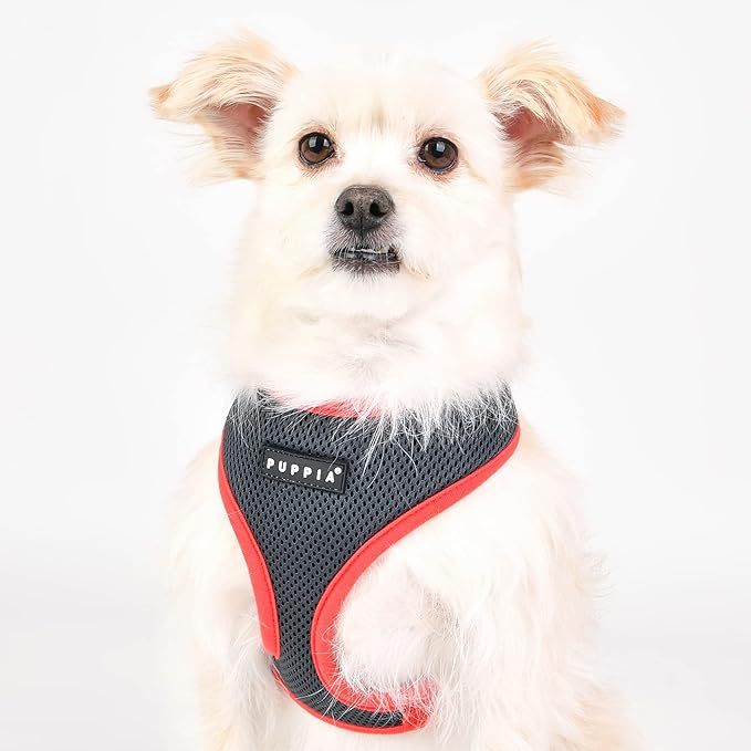 Puppia Soft Dog Harness II Mesh Over-The-Head All Season No Pull No Choke Walking Training Adjustable for Small & Medium Dog - Grey - M