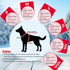 EMUST Dog Cold Weather Coats, Fleece Lining Small/Medium/Large Dog Jacket for Winter, Warm Waterproof Pet Winter Clothes for Large Dogs, Red, XL