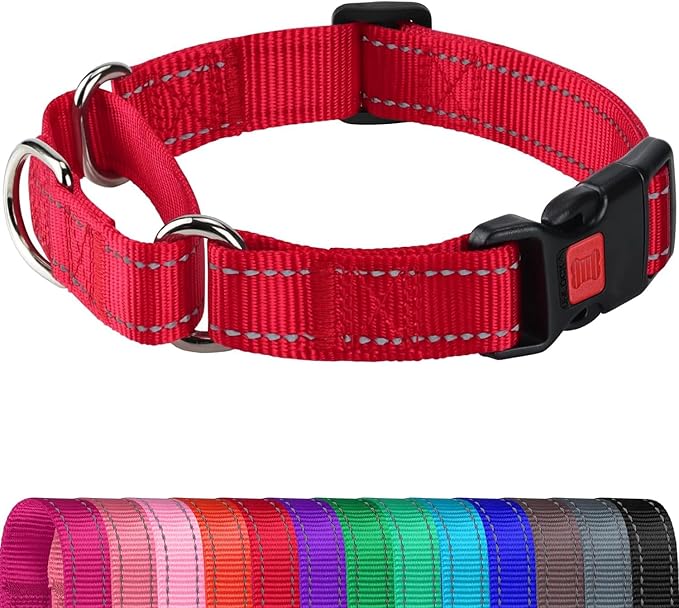 Joytale Martingale Collar for Dogs, Reflective Heavy Duty for Safety, Quick Release Buckle, Adjustable Nylon Collars for Medium Dogs Walking Training, Red,M
