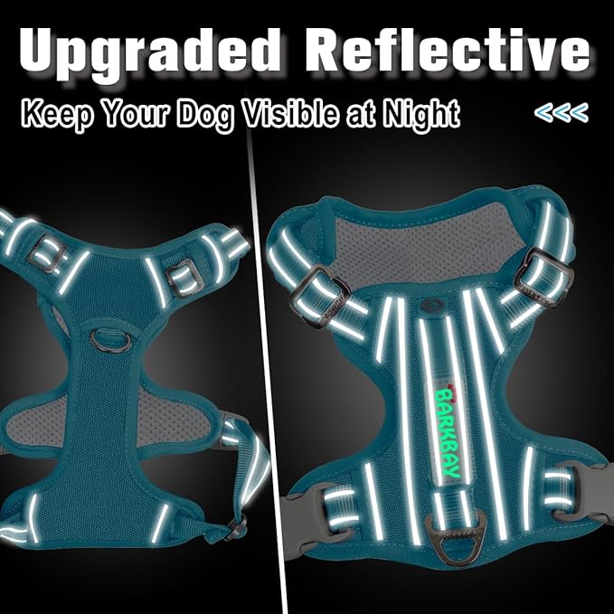 BARKBAY Dog Harness No Pull Oxford with ID Tag Pocket - Heavy Duty, Reflective, Easy Control for Large Dogs(Aqua Oxford,XS)
