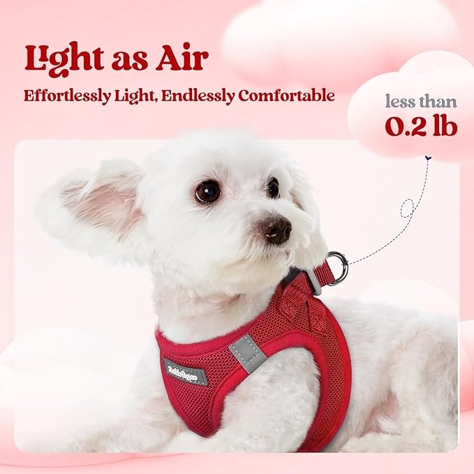 rabbitgoo Dog Harness Small Sized and Leash Set, Step in Soft Light Puppy Vest, Breathable Mesh Pet Harness, Reflective for Outdoor Safe Walking, Red XL